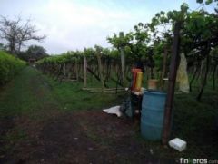 Villa Nachaga - Finca en Cali, Valle del Cauca